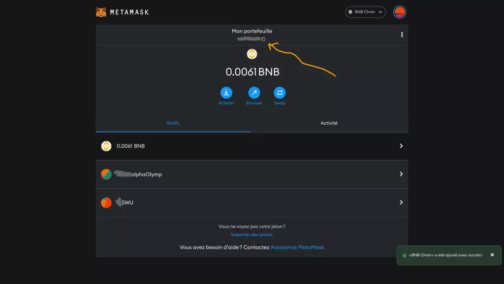 Capture d'écran "MetaMask Wallet network BNB Chain"