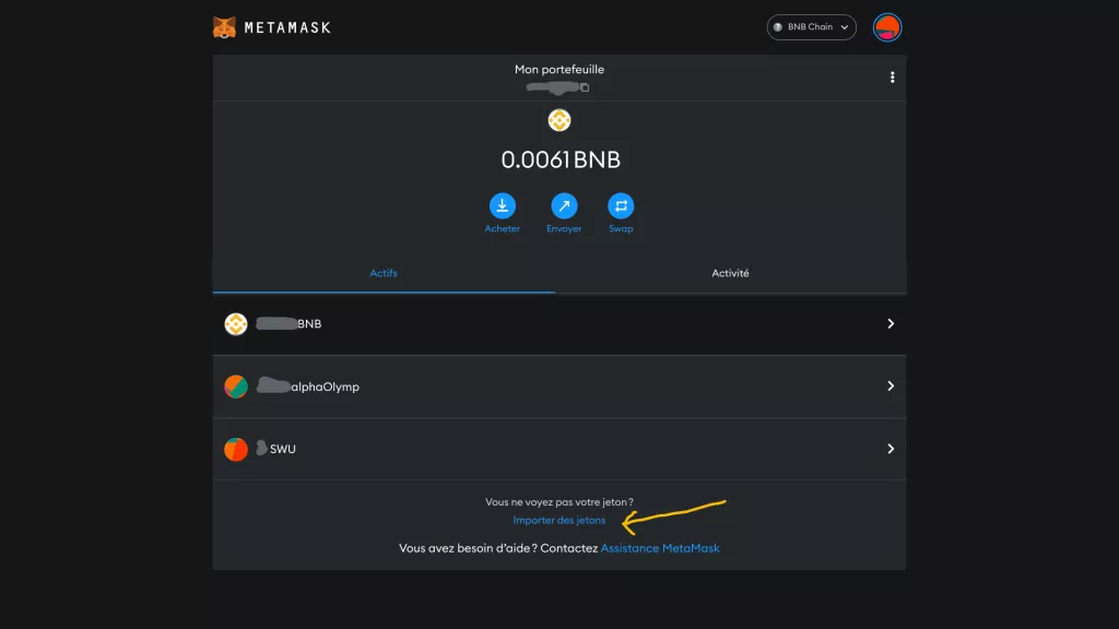 Capture d'écran "Importer des jetons dans MetaMask"