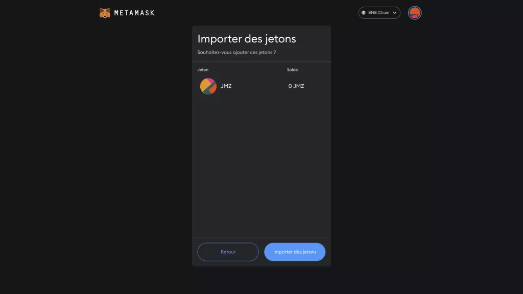Capture d'écran "Valider l'importation du token dans MetaMask"