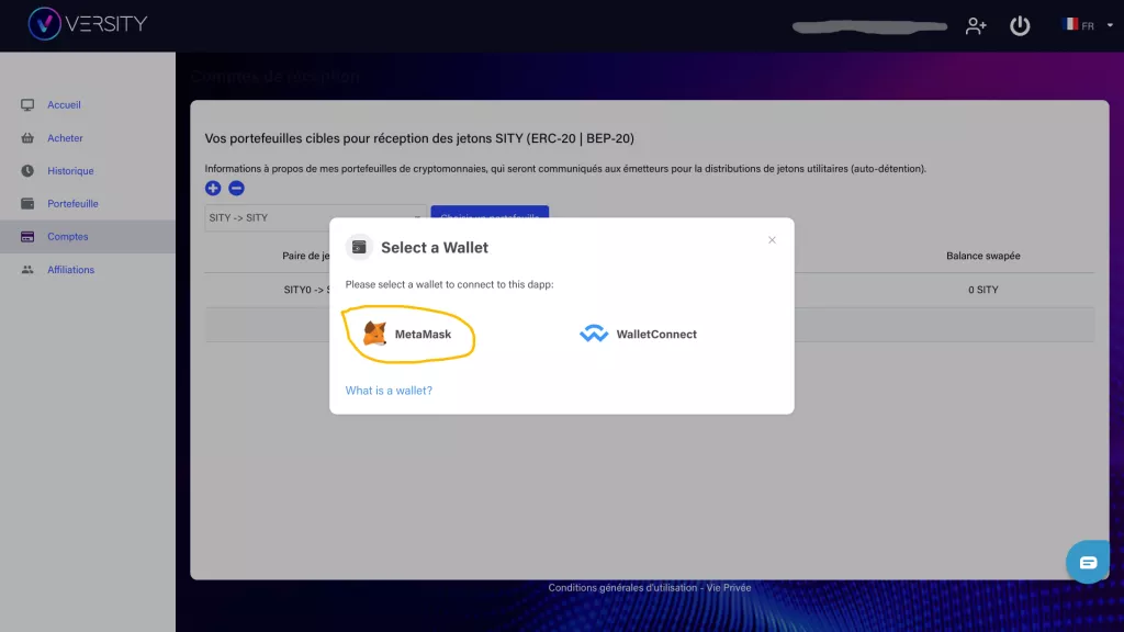 Capture d'écran "Connecter MetaMask à Versity"